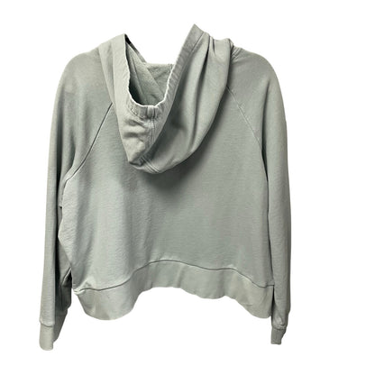 Patagonia Regenerative Organic Cotton Essential Hoodie Thermal Blue Womens Large